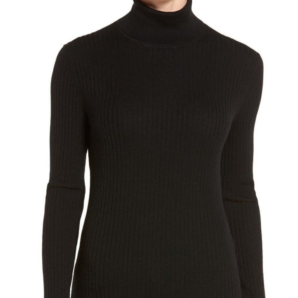 Classiques Entier Cashmere Turtleneck Sweater